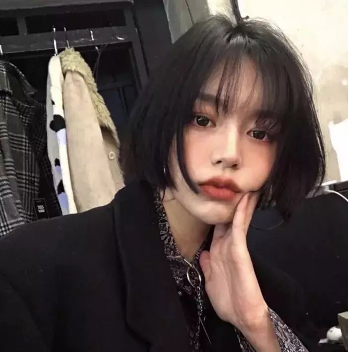 哈兰·科本的庇护所
